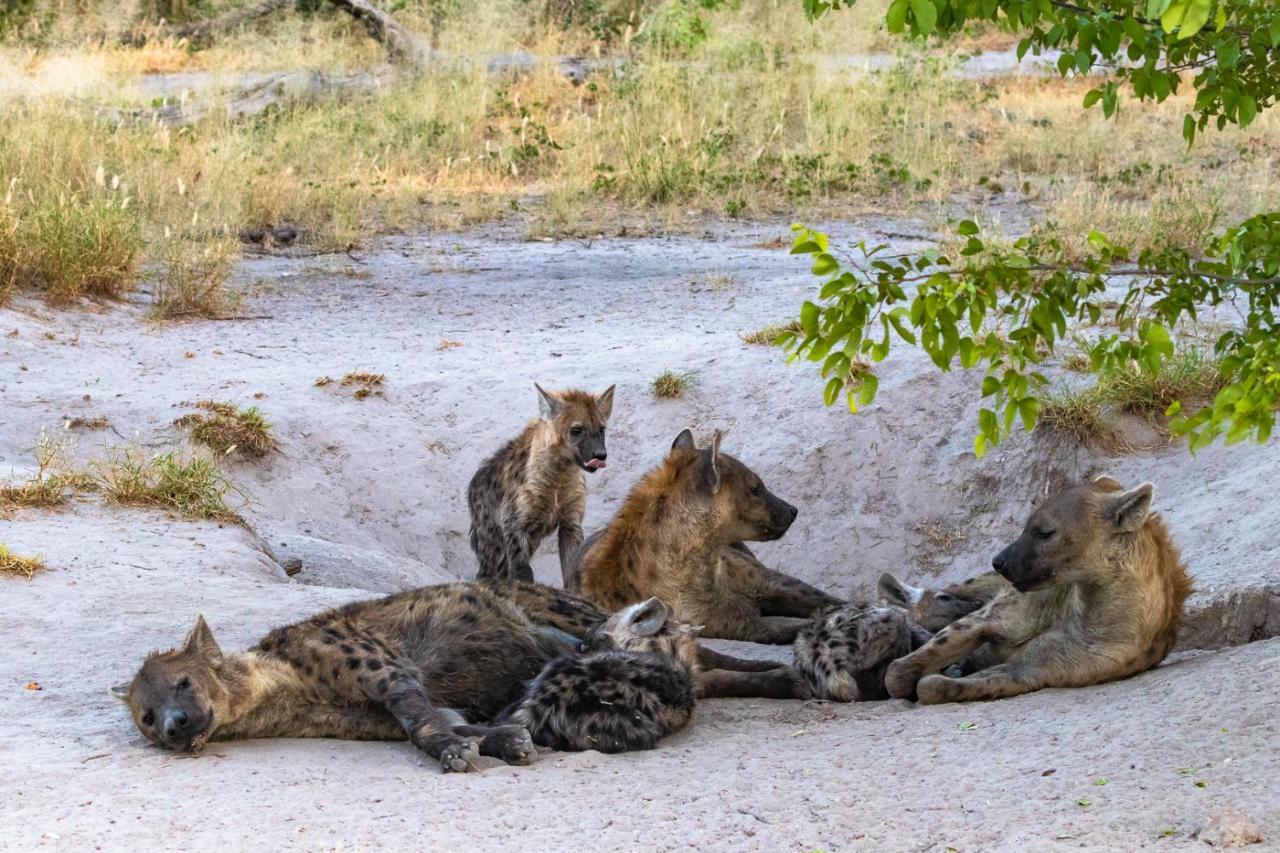 O Bona Moremi Safari Lodge Khwai Экстерьер фото